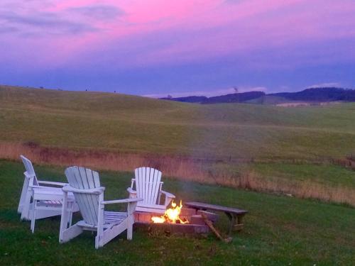Shenandoah FARM POOL GAME BARN OUTDOOR FIRE PIT