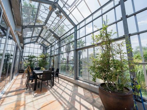 Palm Villa - Vacation STAY 12202