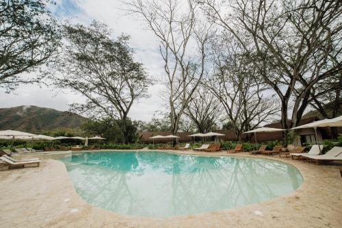 Holistic EcoHotel