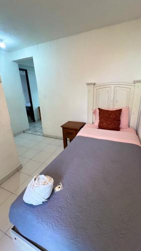 Hostal Mago in Tlaxcala de Xicohténcatl, Mexico