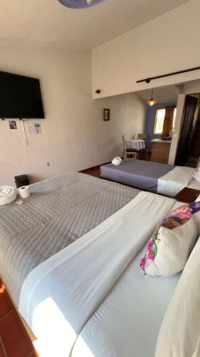 Hostal Mago Room Type - Triple Room