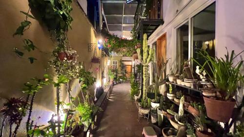 Hostal Mago in Tlaxcala
