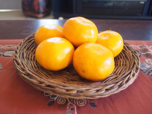 ゲストハウス有無