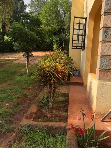 PRIVATE ROOMs GARDEN HAVEN - IVECHE in Embu