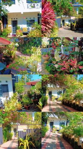 Nilu Villa - Bentota