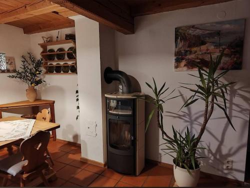 Ruhig gelegene Ferienwohnung mit Garten und Terrasse in Rotthalmunster