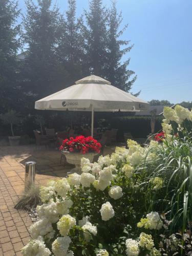 Ресторан, Złote Runo - Hotel&Restauracja (Zlote Runo - Hotel&Restauracja) in Karolina