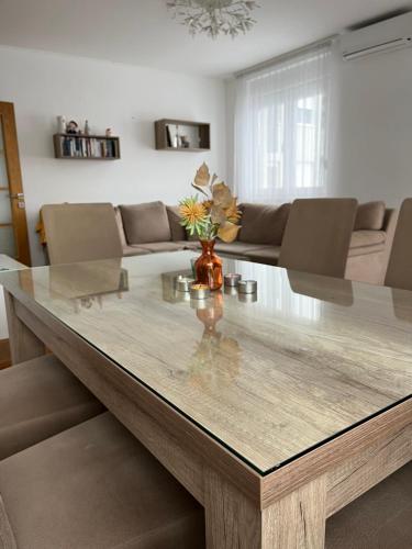 Iekārtas, Apartman Burinović (Apartman Burinovic) in Temerin