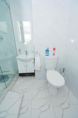 Luxurious Apartments at Megawatt Court - image 2
