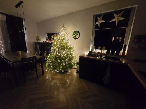 Czarne Nad Białym