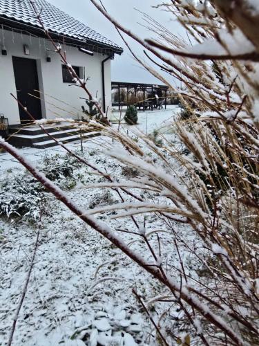 Czarne Nad Białym