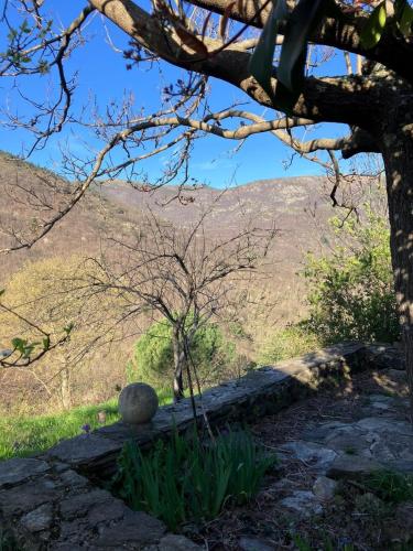 La maisonnette des Cevennes in Valgorge