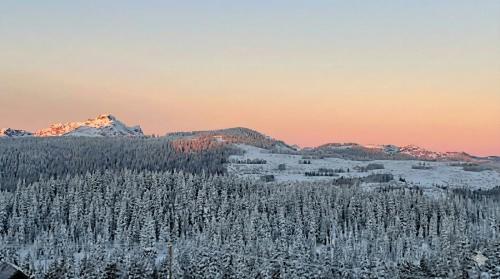 True Ski-In-Ski-Out Rare 3-Bed Condo in Mount Washington (BC)