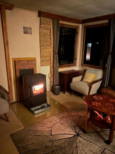 Bungalow im Wald am See - Biberspur in Coswig (Anhalt)