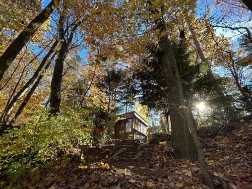 Bungalow im Wald am See - Biberspur in Coswig (Anhalt)