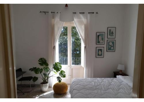 Lilium Lecce Centro