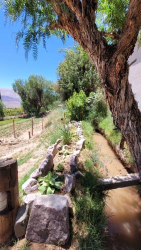 El Molle de Uquia in Uquía