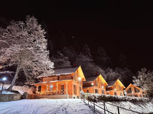 Viesnīcas āriene, Eko cottages in Kimotesubani