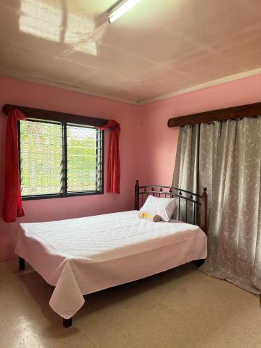 Reddys Homestay in バ