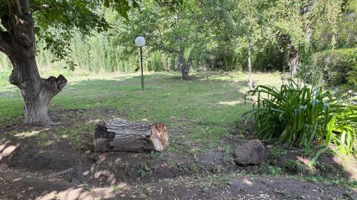 Kert, La Guevarina- Casa de Campo in Tres Esquinas