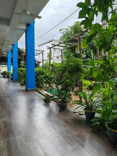花園, Canggu Surf Hotel - Arugam Bay in 阿魯加姆灣