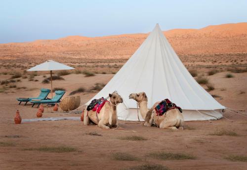 Arabian Nights Luxury Glamping in A'Sharqiyah Sands (Wahiba)