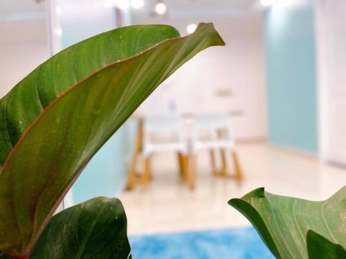 Vung Tau Melody Apartment Long Term Please contact after reservation - image 3