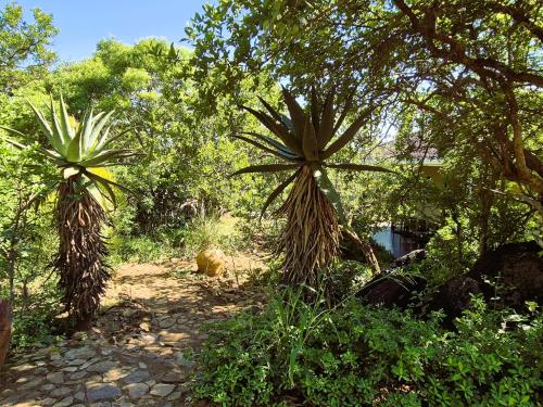 Ukuthula Hideaway – Hoedspruit, NY