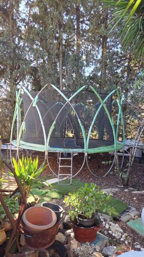 בין עצי הדובדבן - צימר 3 נחל שניר in Metula
