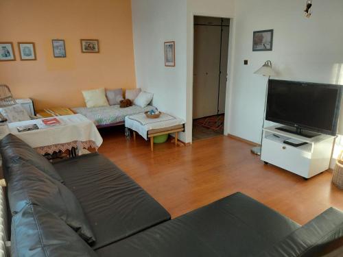 At the Star in Kladno