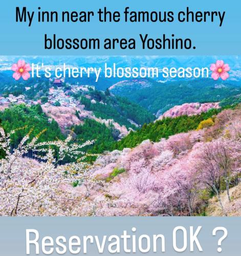 Inn Unkai no Sato no Yado 民宿 雲海の里の宿 - Shima