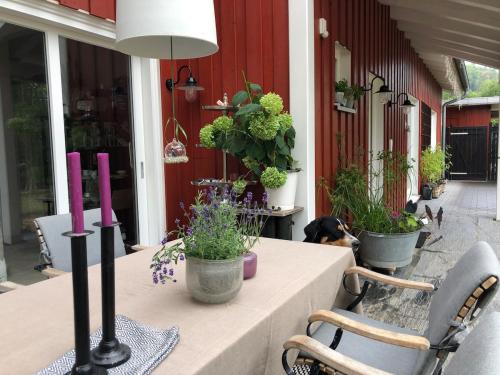 Schönes Haus mit 3 Schlafzimmern - bis zu 6 Personen (Schones Haus mit 3 Schlafzimmern - bis zu 6 Personen) in 海格爾洛赫