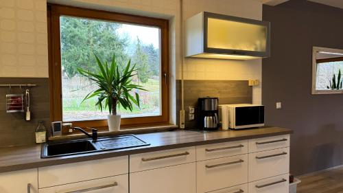 Ferienhaus RENA mit Pool in Sohland