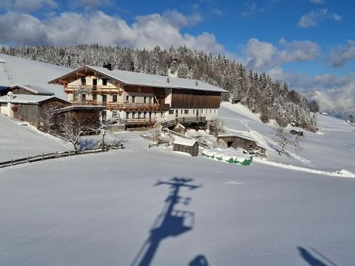 ทัศนียภาพภายนอกโรงแรม, Ferienwohnung Hinterschwarzenberg in บริกซ์เลกก์