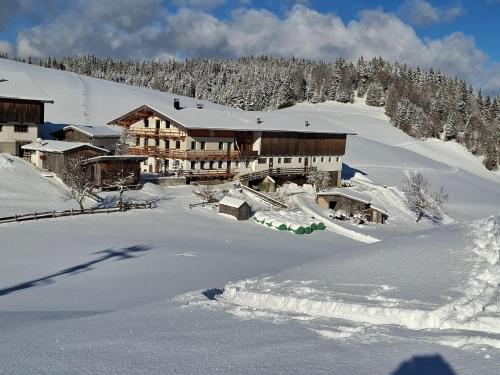 Ferienwohnung Hinterschwarzenberg in บริกซ์เลกก์