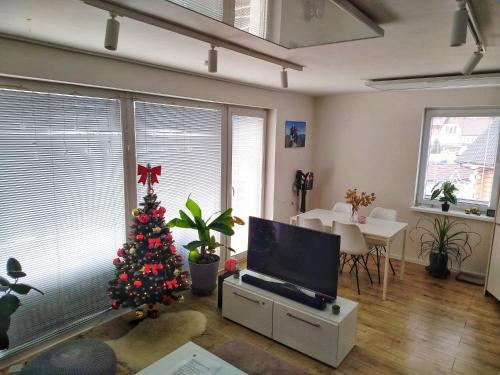 Koplietošanas atpūtas telpa ar TV, Dom pri jazere Nitrianske Rudno in Liestany