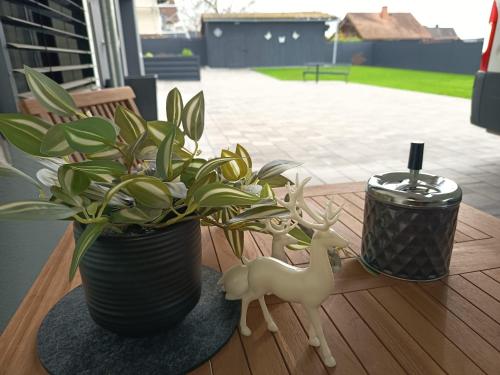 View, Exklusive Ferienwohnung 2 im Herzen des Spessarts in Schollbrunn