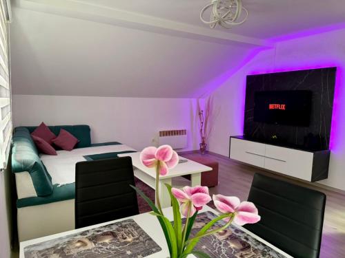 Apartment Djurdjic