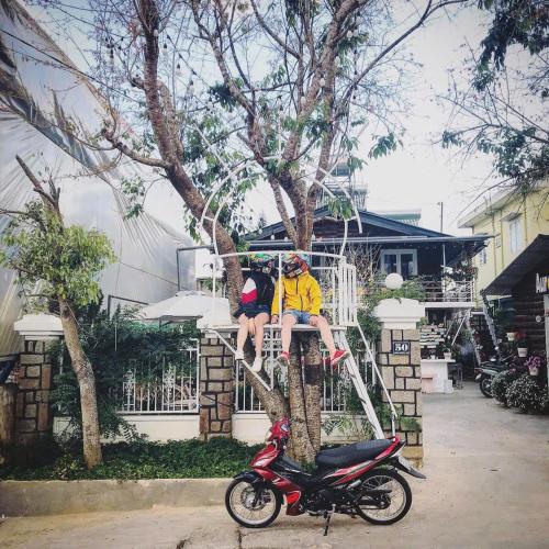 Aurora Homestay