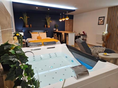 Bed, Escale dans un Cocon Spa Privatif & Design, petit dejeuner compris in Salome (Nord-Pas-de-Calais)