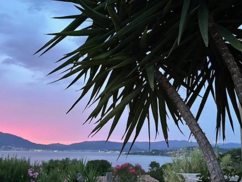 Pietrosella Canelli Sea View in Porticcio