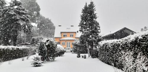 景觀, Haus am Zemminsee in 大克里斯