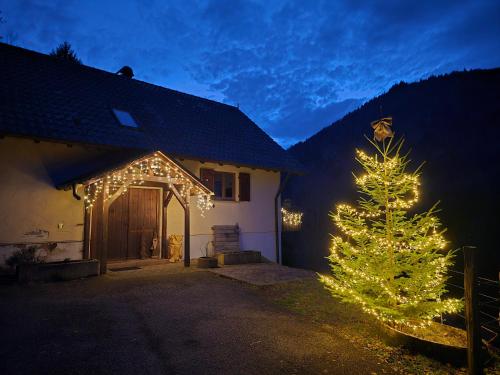 Viesnīcas āriene, Maison nature et calme - 3 chambres - Vue montagne in Mitlaša