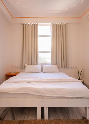 Hammock Hostels - Jaipur photo 2