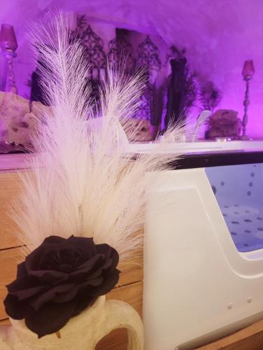 リュネヴィル L'Atelier Des Roses, Luneville centre 3つ星 シングルルーム 外観