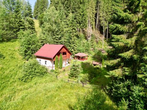 Cabana SVA Bilbor in Bilbor