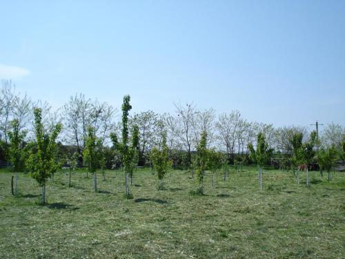 Complex Turistic Paralela'45 Complex Turistic Paralela'45