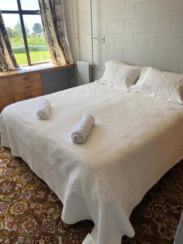 Quiet country setting- R3 Magnolia House in Temuka