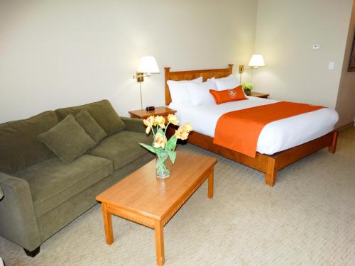 Quality Inn & Suites Amsterdam, Fredericton (fotografie 2)