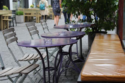 Oldtown Hostel Otter 5